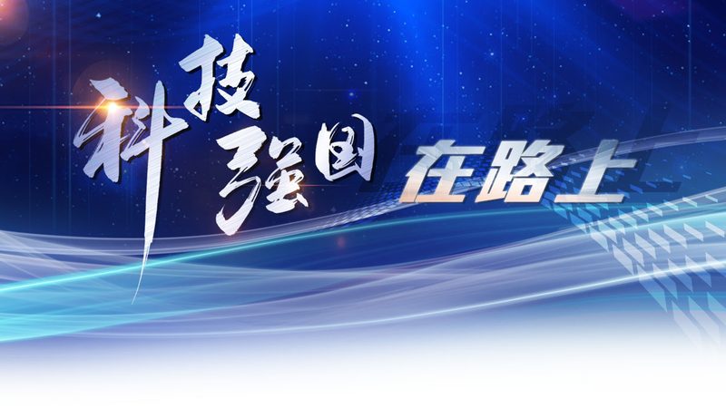 企业数字化转型：方案利弊深度剖析